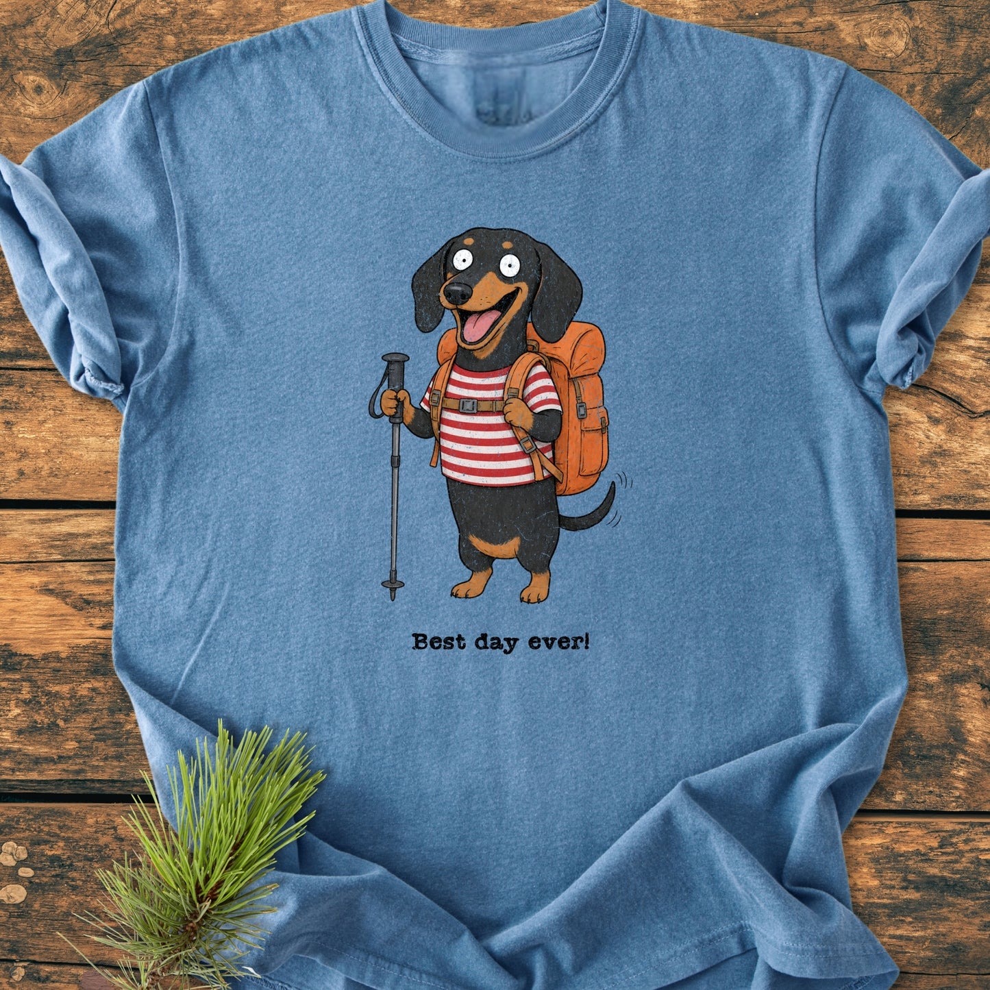 Best Day Ever - Vintage Wash Tee