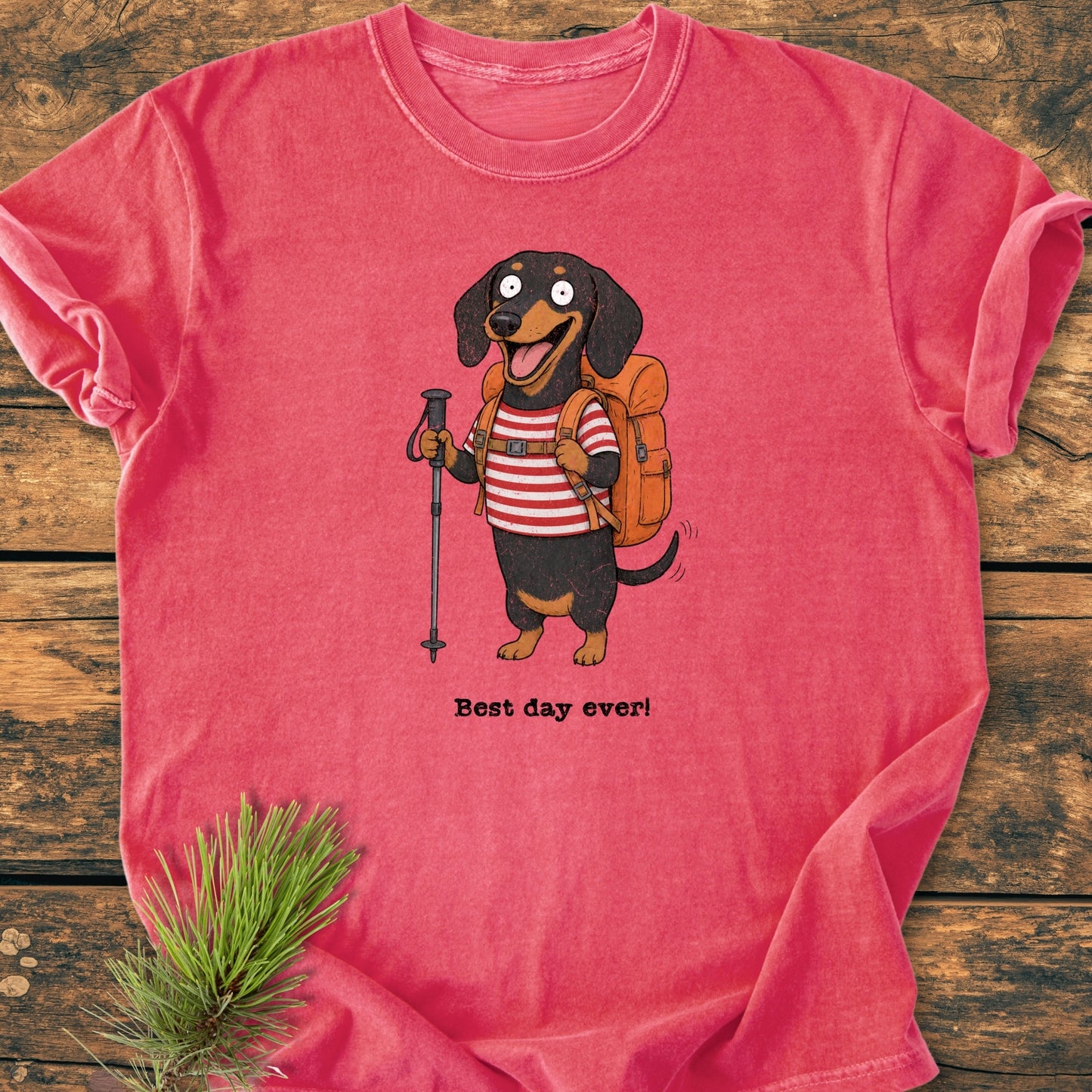 Best Day Ever - Vintage Wash Tee