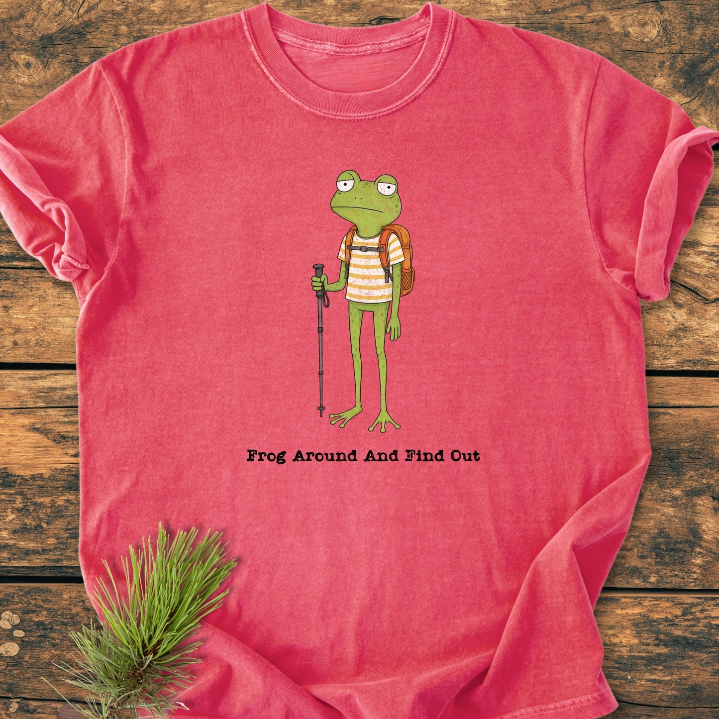 Frog Around And Find Out - Vintage Wash Tee