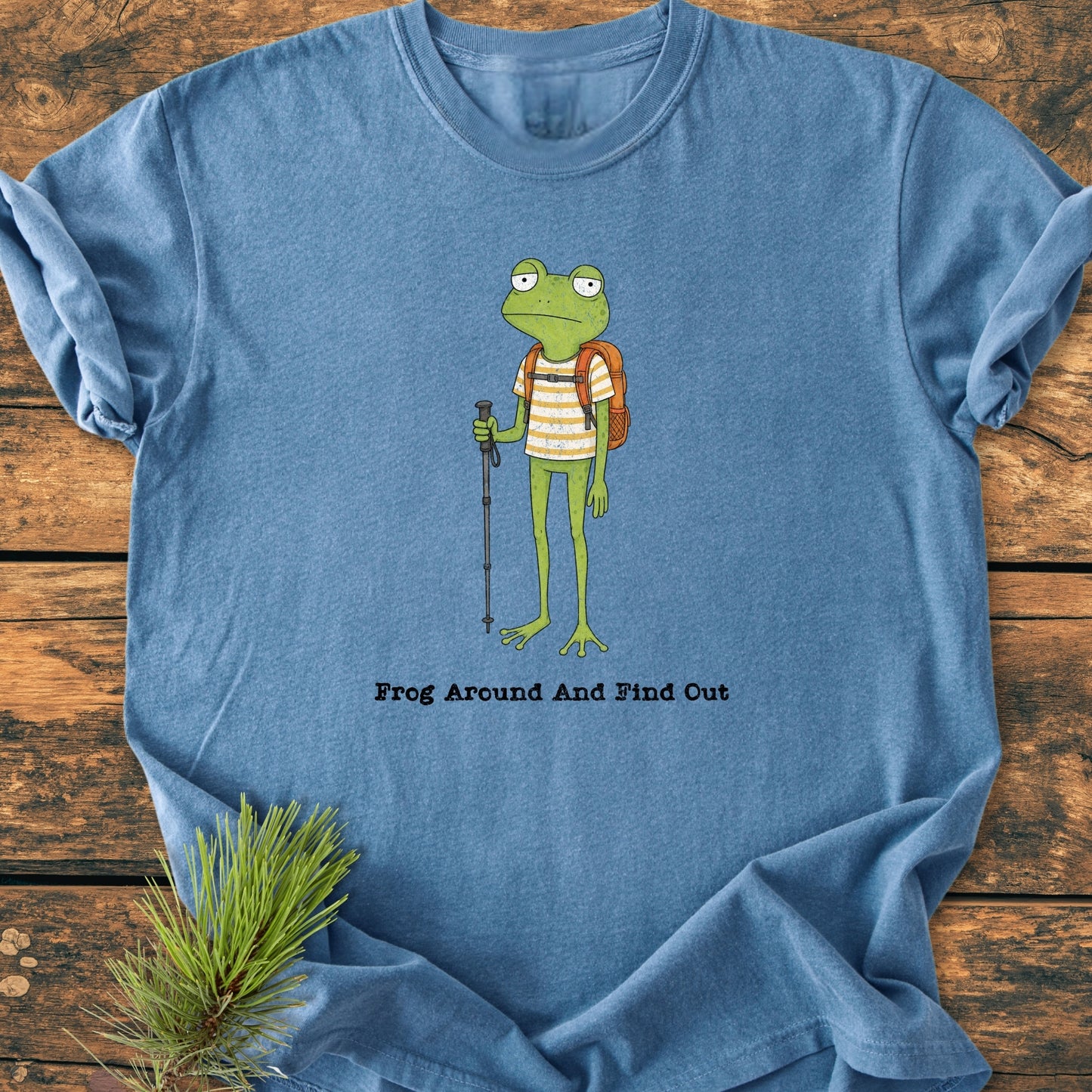 Frog Around And Find Out - Vintage Wash Tee