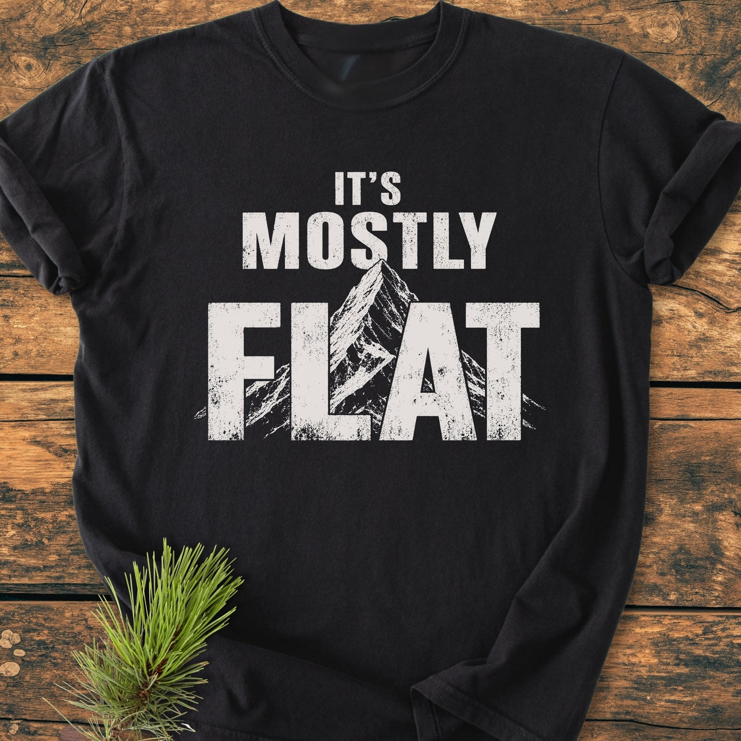It's Mostly Flat - Vintage Wash Tee