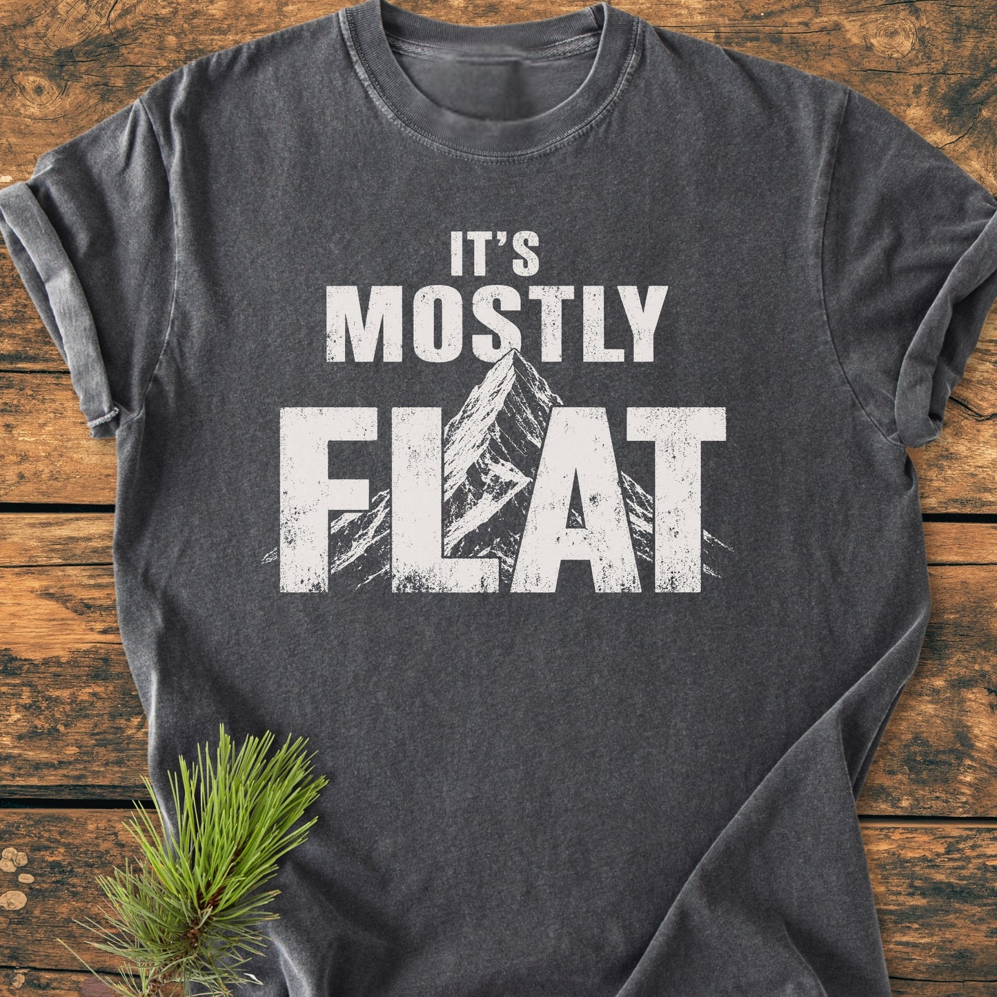 It's Mostly Flat - Vintage Wash Tee