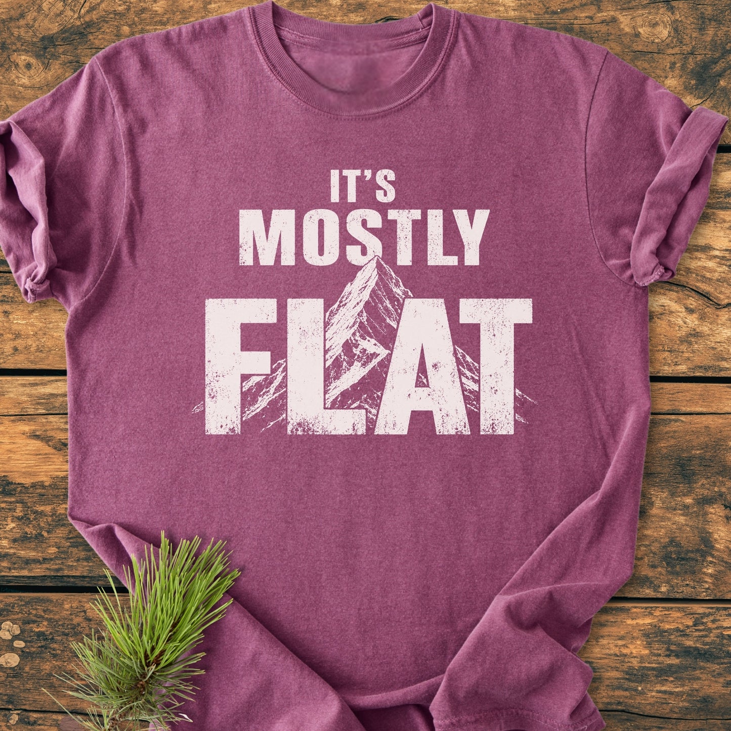 It's Mostly Flat - Vintage Wash Tee