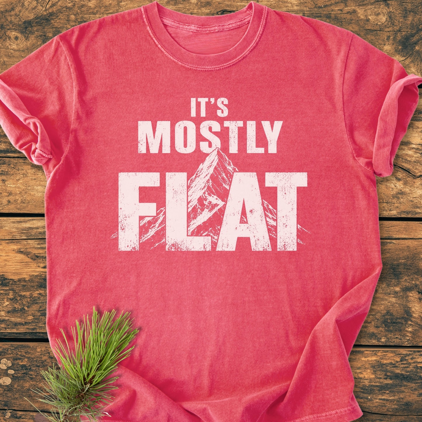 It's Mostly Flat - Vintage Wash Tee