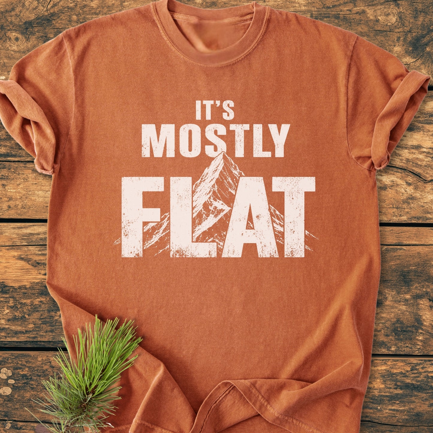 It's Mostly Flat - Vintage Wash Tee