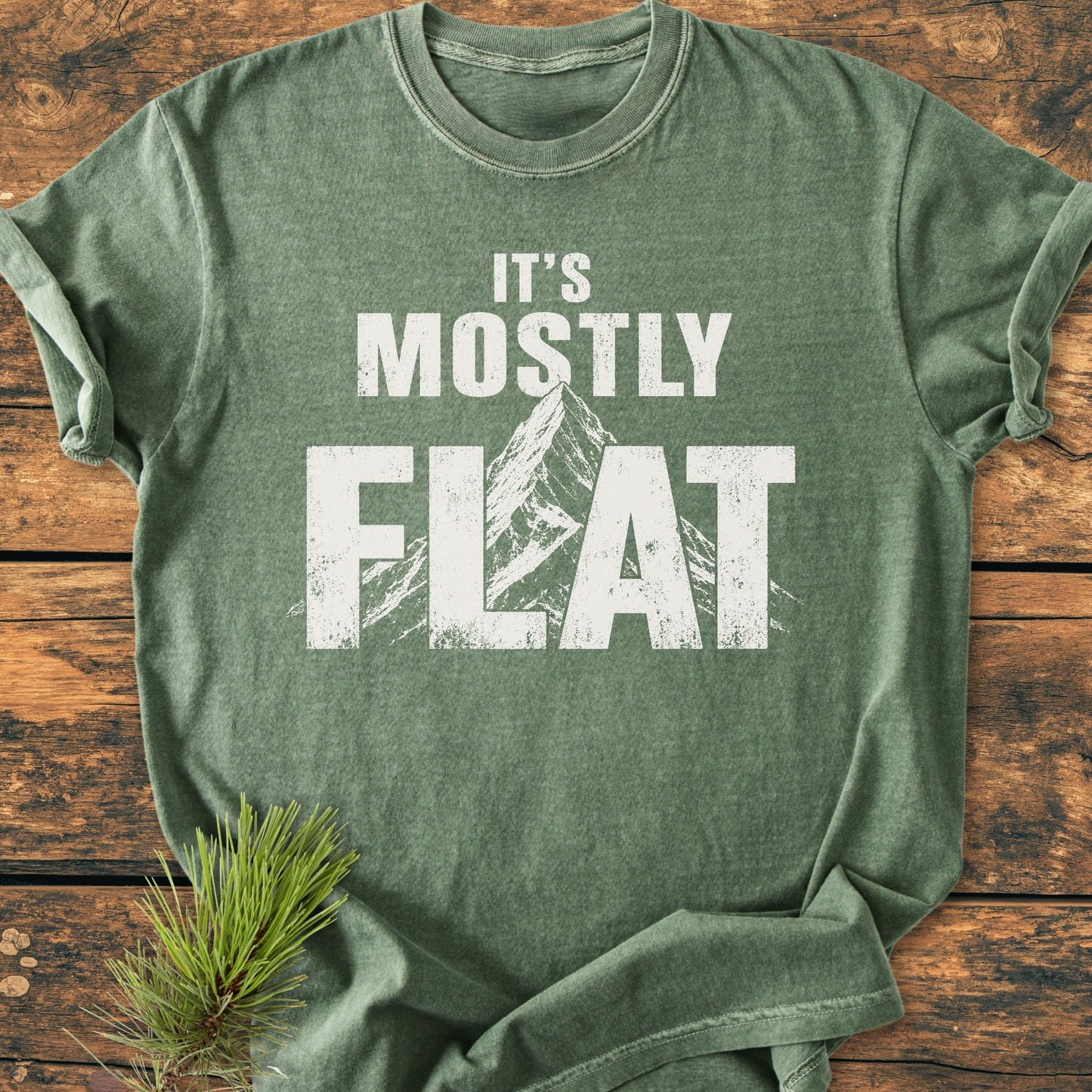 It's Mostly Flat - Vintage Wash Tee