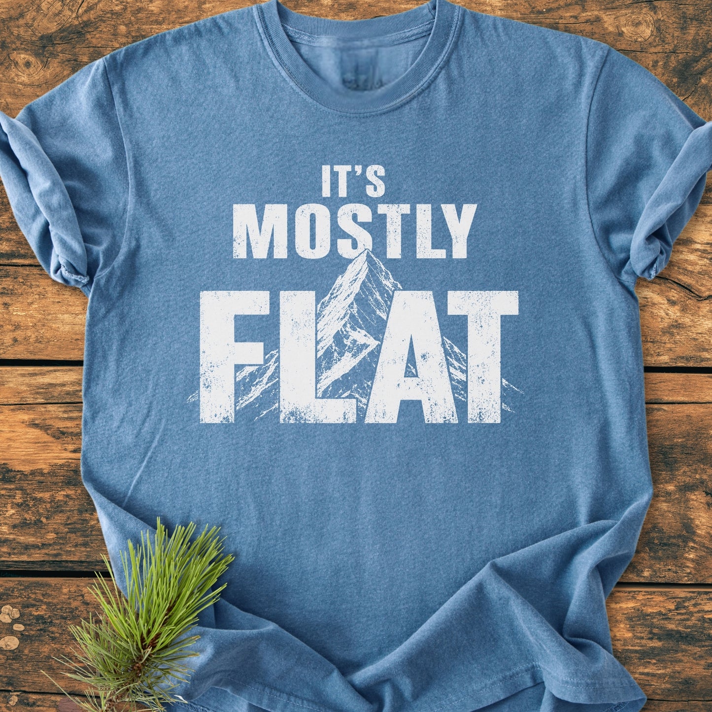 It's Mostly Flat - Vintage Wash Tee