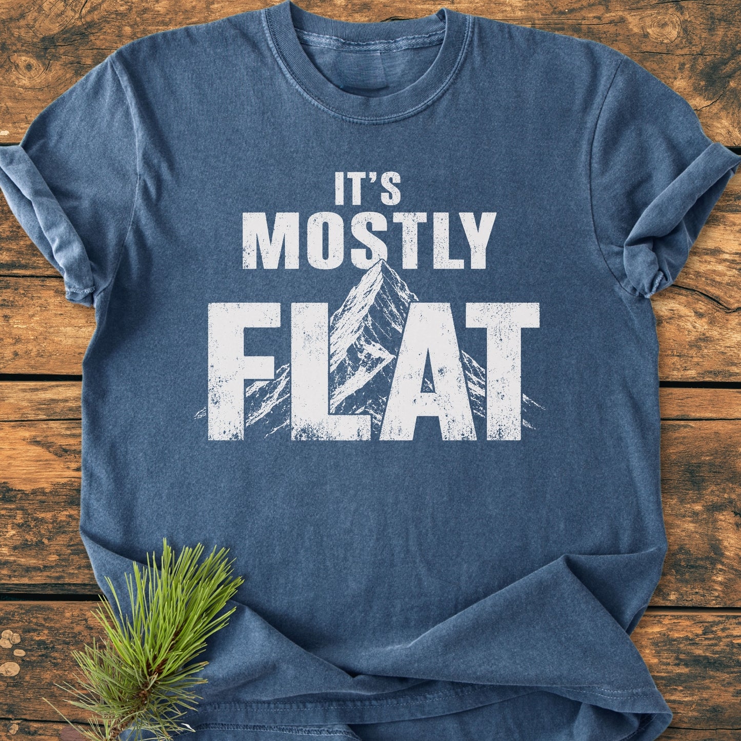 It's Mostly Flat - Vintage Wash Tee