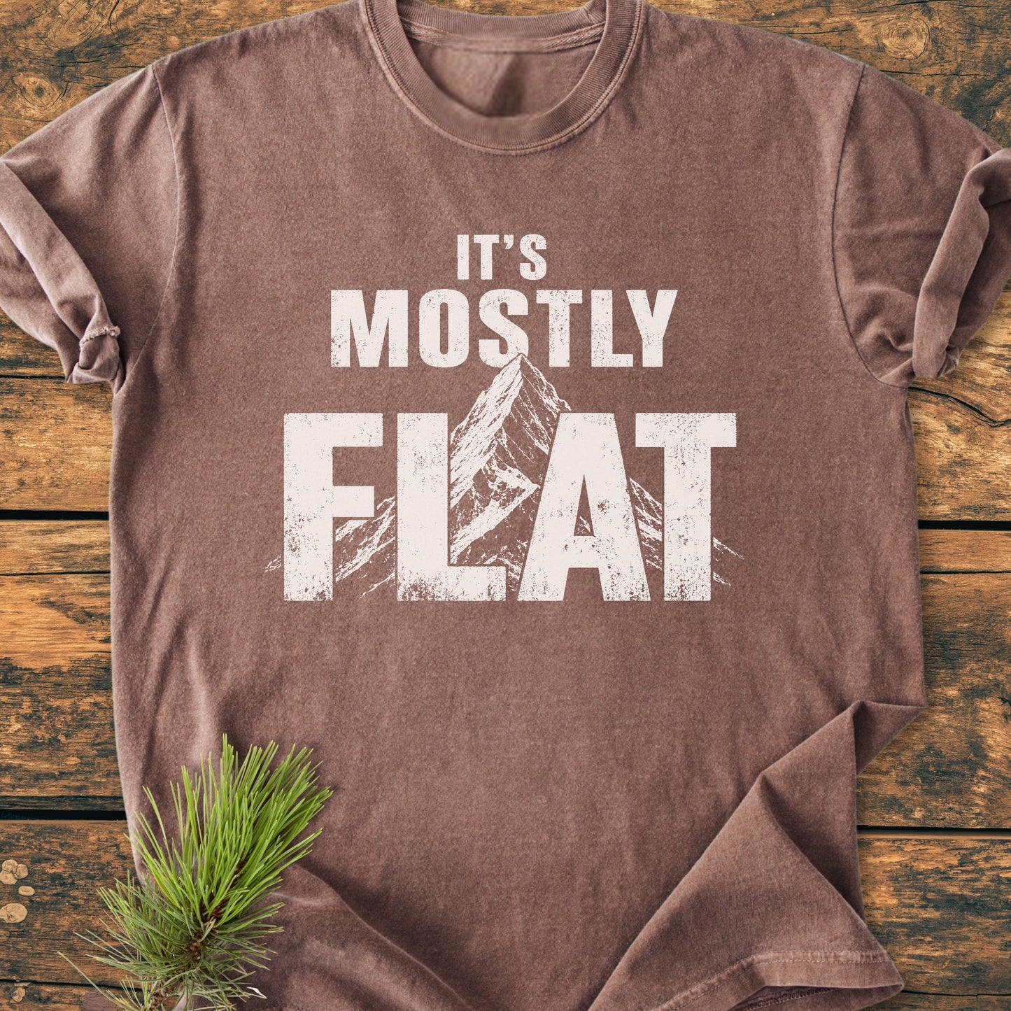 It's Mostly Flat - Vintage Wash Tee