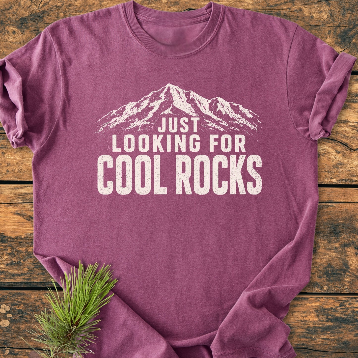 Just Looking For Cool Rocks - Vintage Wash Tee