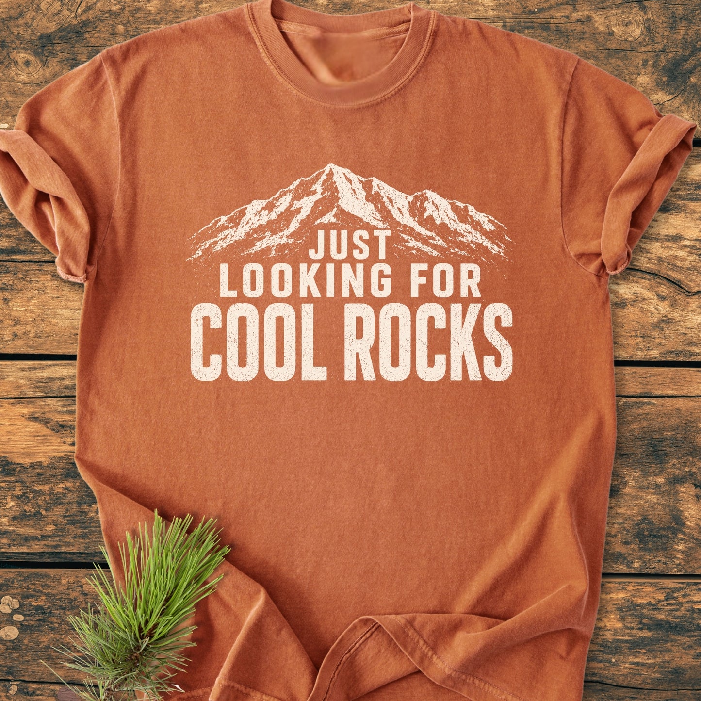 Just Looking For Cool Rocks - Vintage Wash Tee