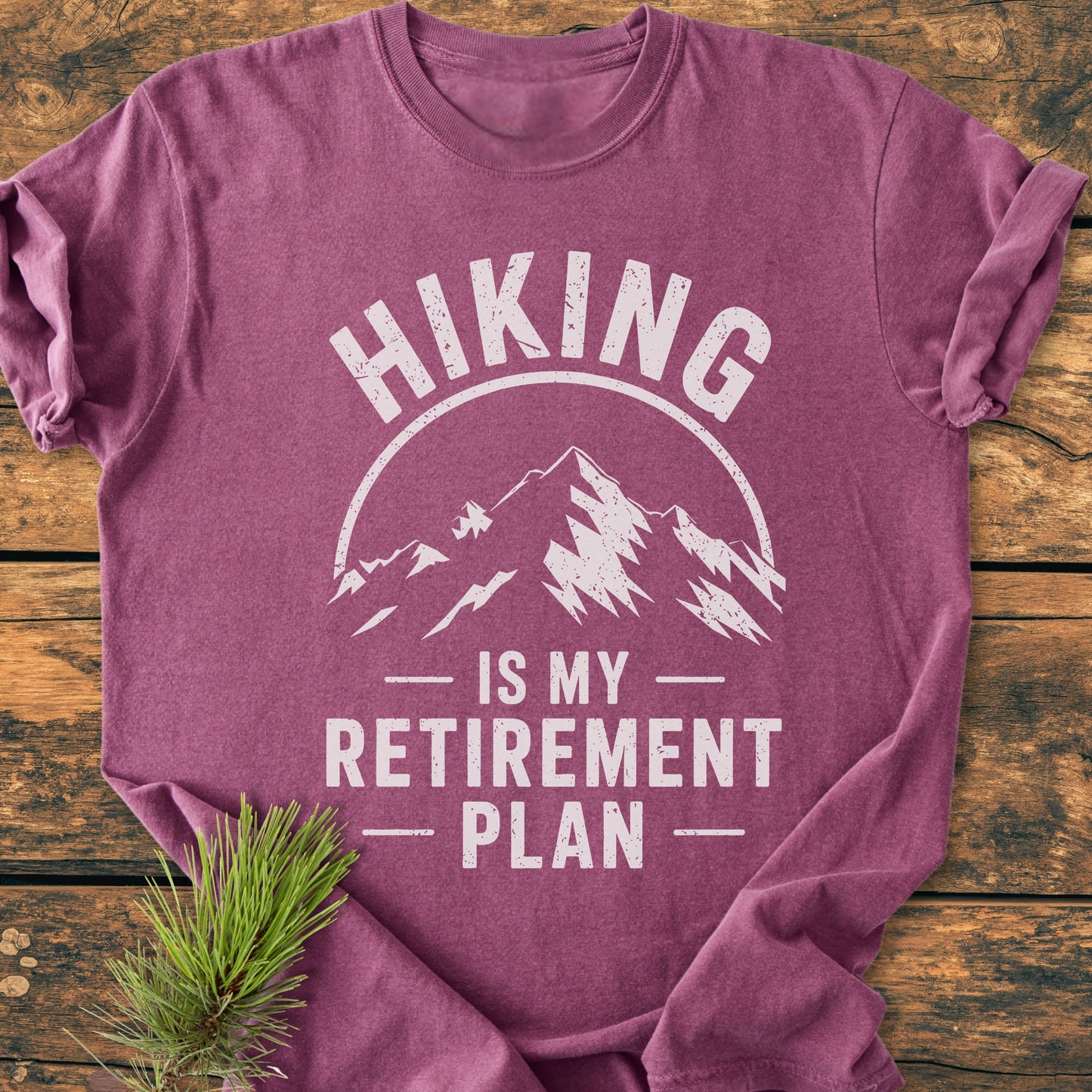Hiking Retirement Plan - Vintage Wash Tee