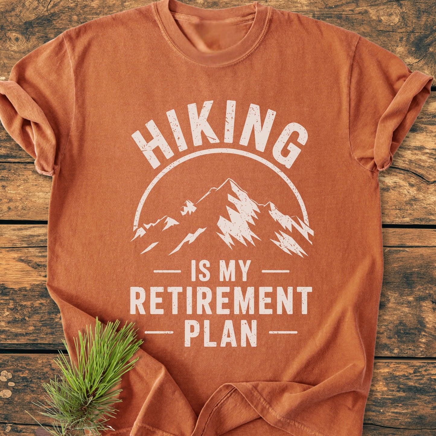 Hiking Retirement Plan - Vintage Wash Tee