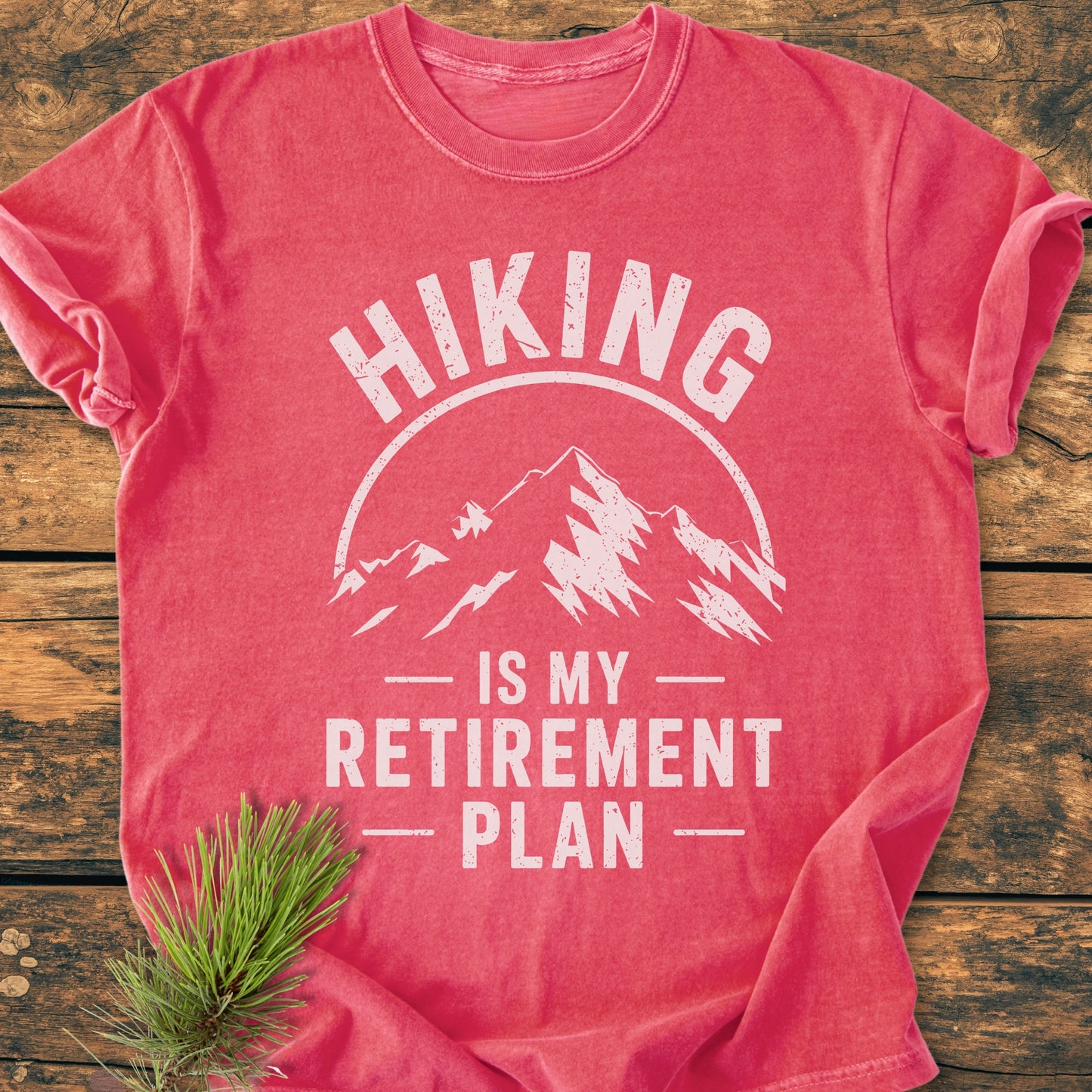 Hiking Retirement Plan - Vintage Wash Tee