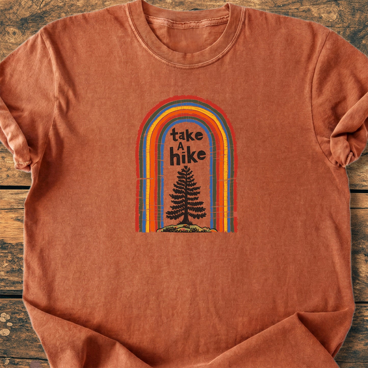 Take A Hike Rainbow - Premium Vintage Tee