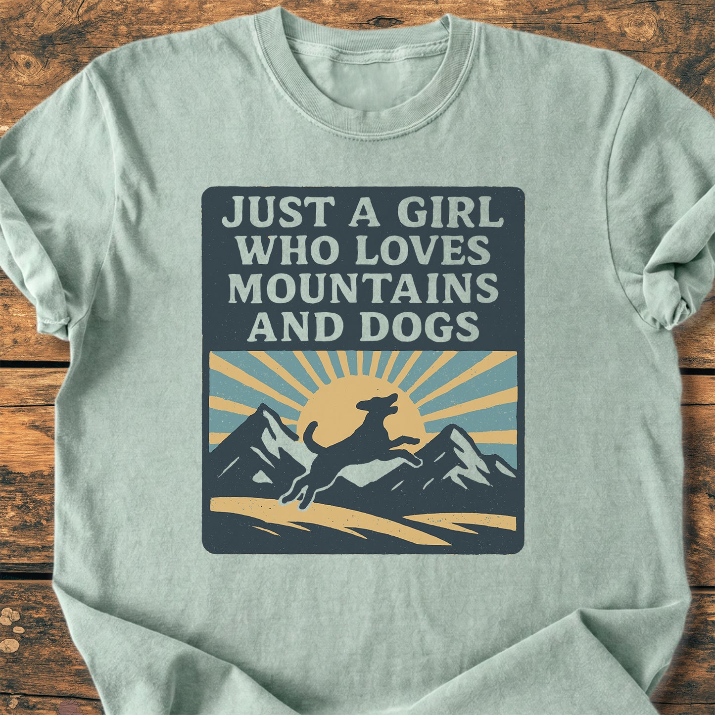 Just A Girl Who Loves Dogs - Premium Vintage Tee