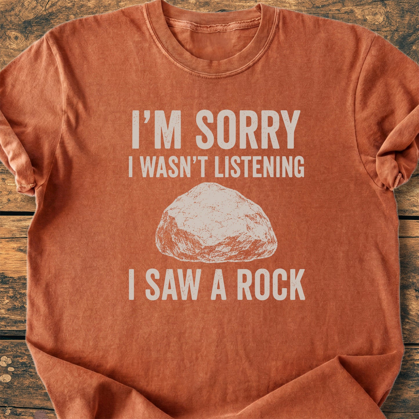 Sorry, I Saw A Rock - Premium Vintage Tee