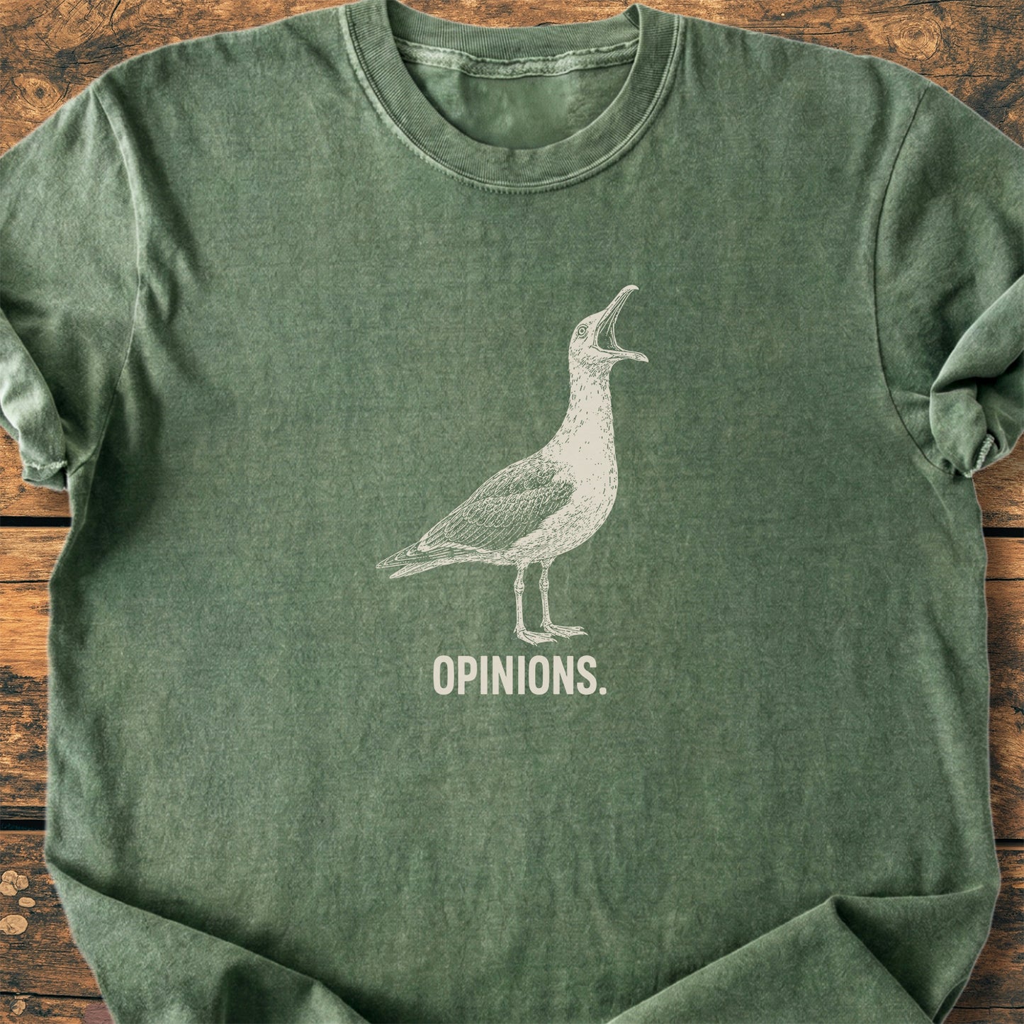 Opinions. Seagull - Premium Vintage Tee