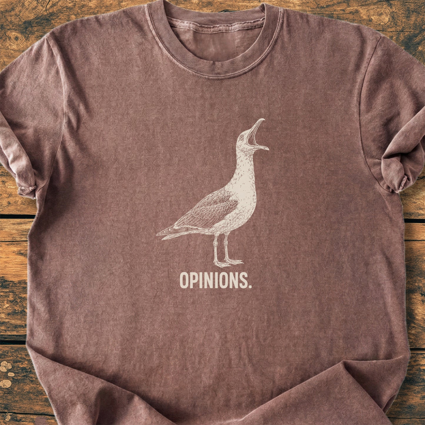 Opinions. Seagull - Premium Vintage Tee