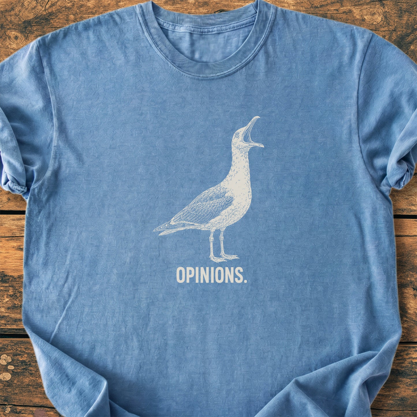 Opinions. Seagull - Premium Vintage Tee