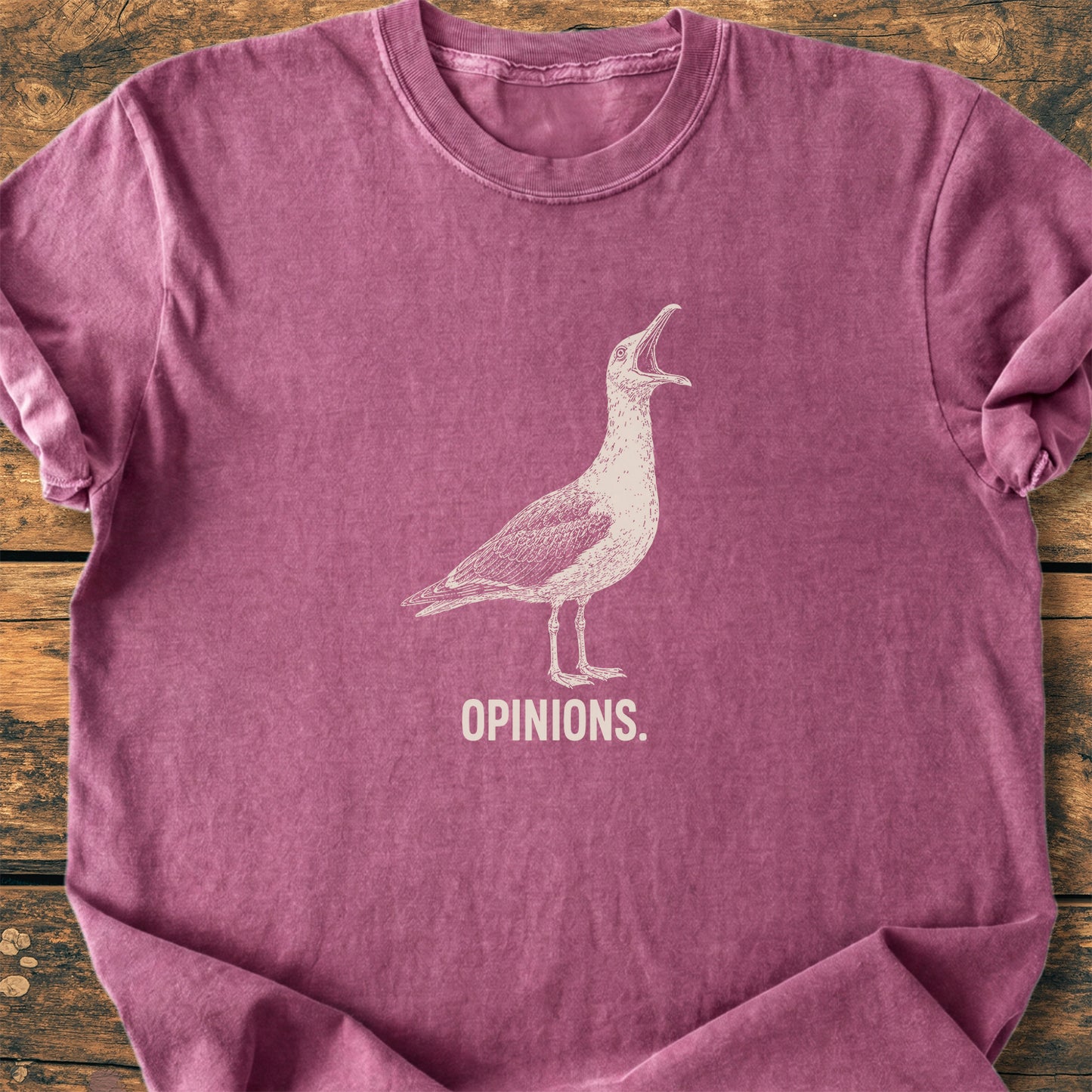 Opinions. Seagull - Premium Vintage Tee