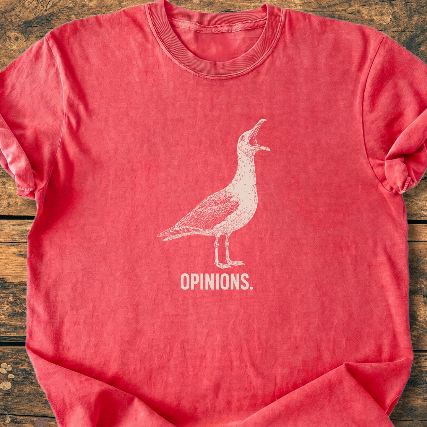 Opinions. Seagull - Premium Vintage Tee