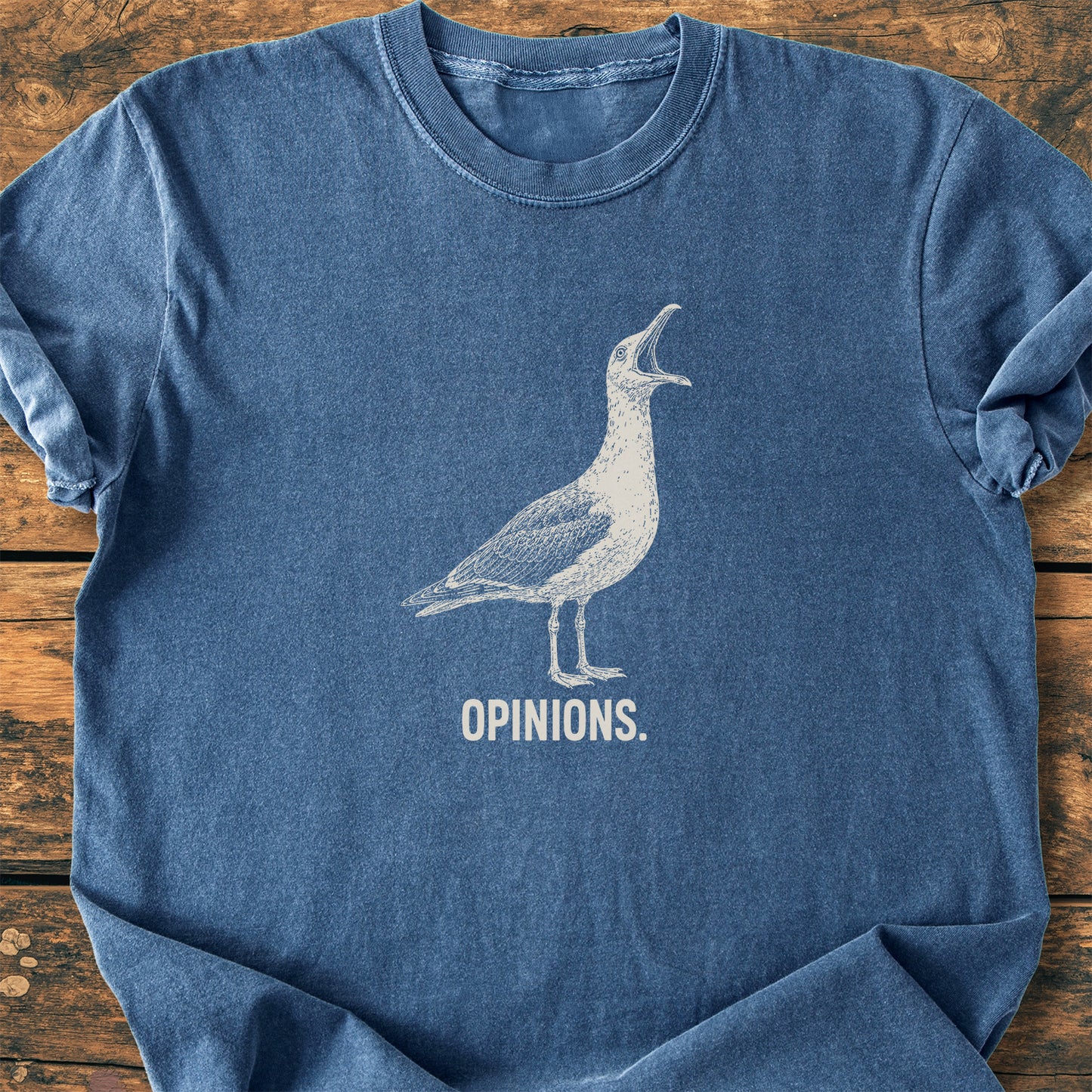 Opinions. Seagull - Premium Vintage Tee