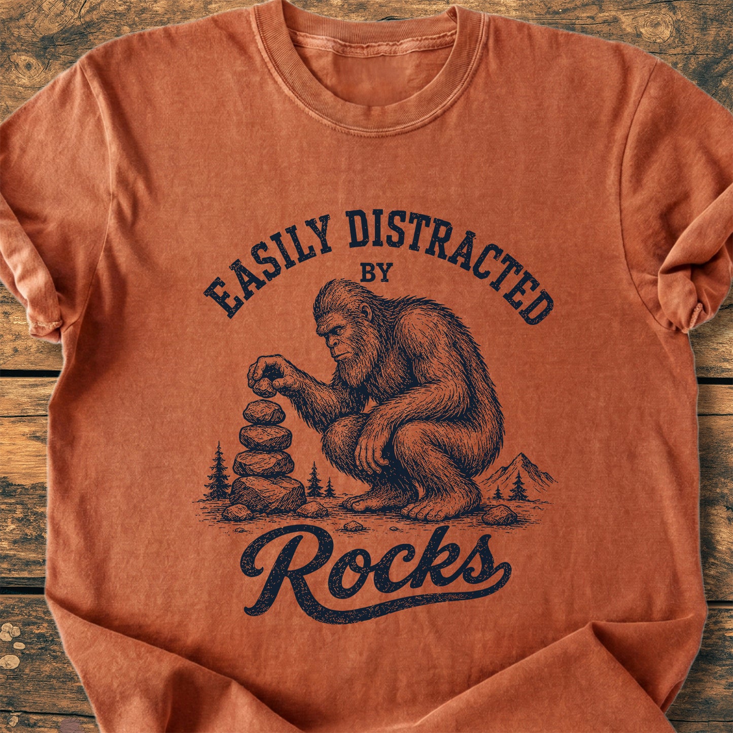 Easily Distracted By Rocks - Premium Vintage Tee