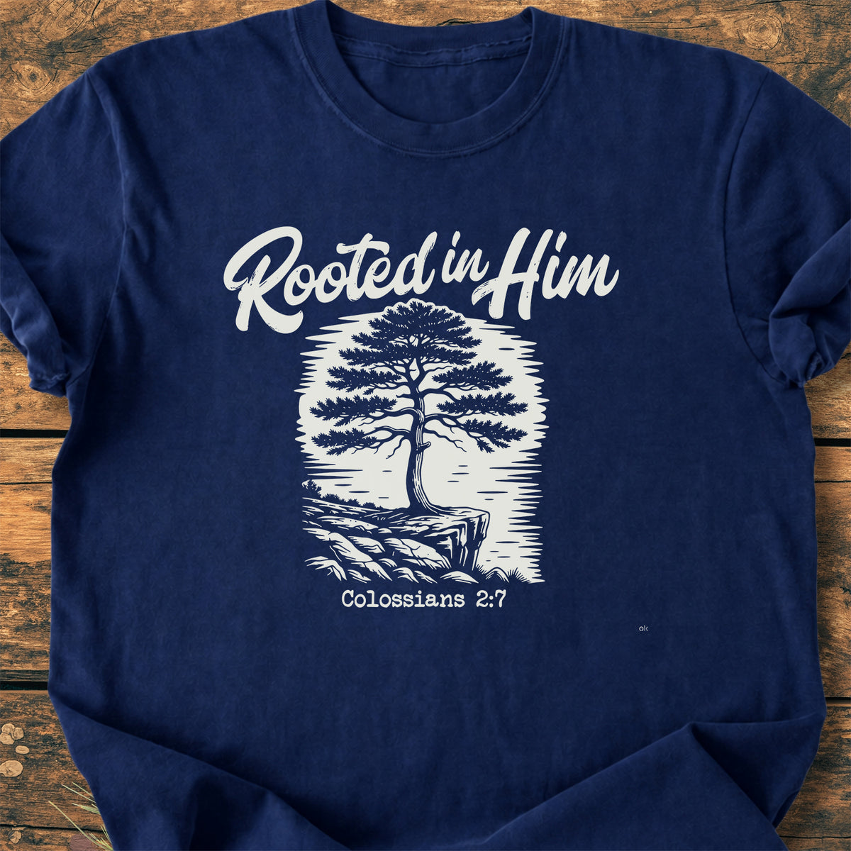 Rooted In Him - Premium Vintage Tee
