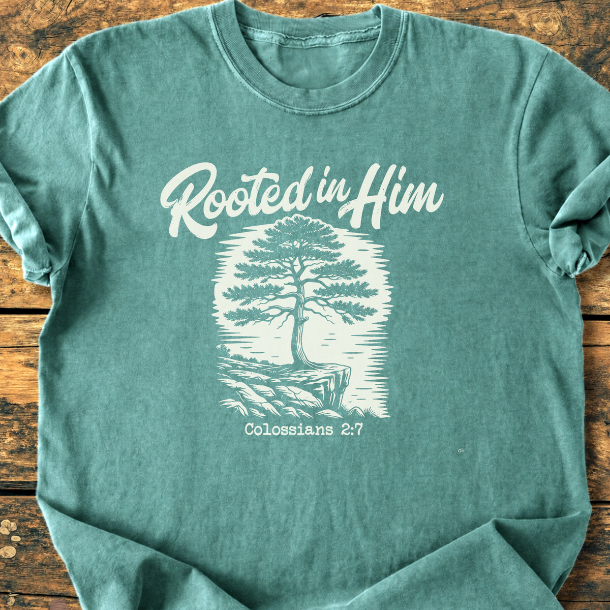 Rooted In Him - Premium Vintage Tee