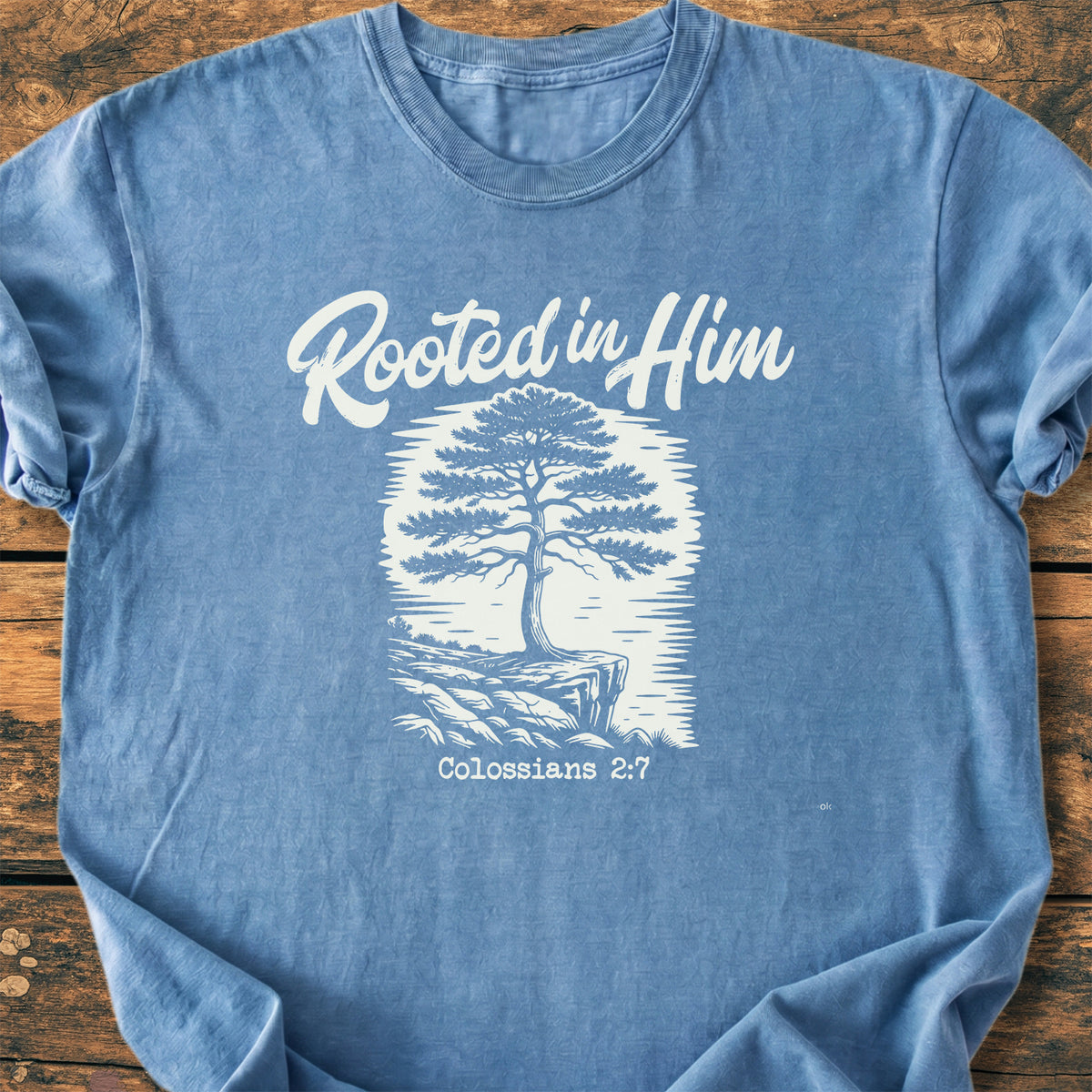 Rooted In Him - Premium Vintage Tee
