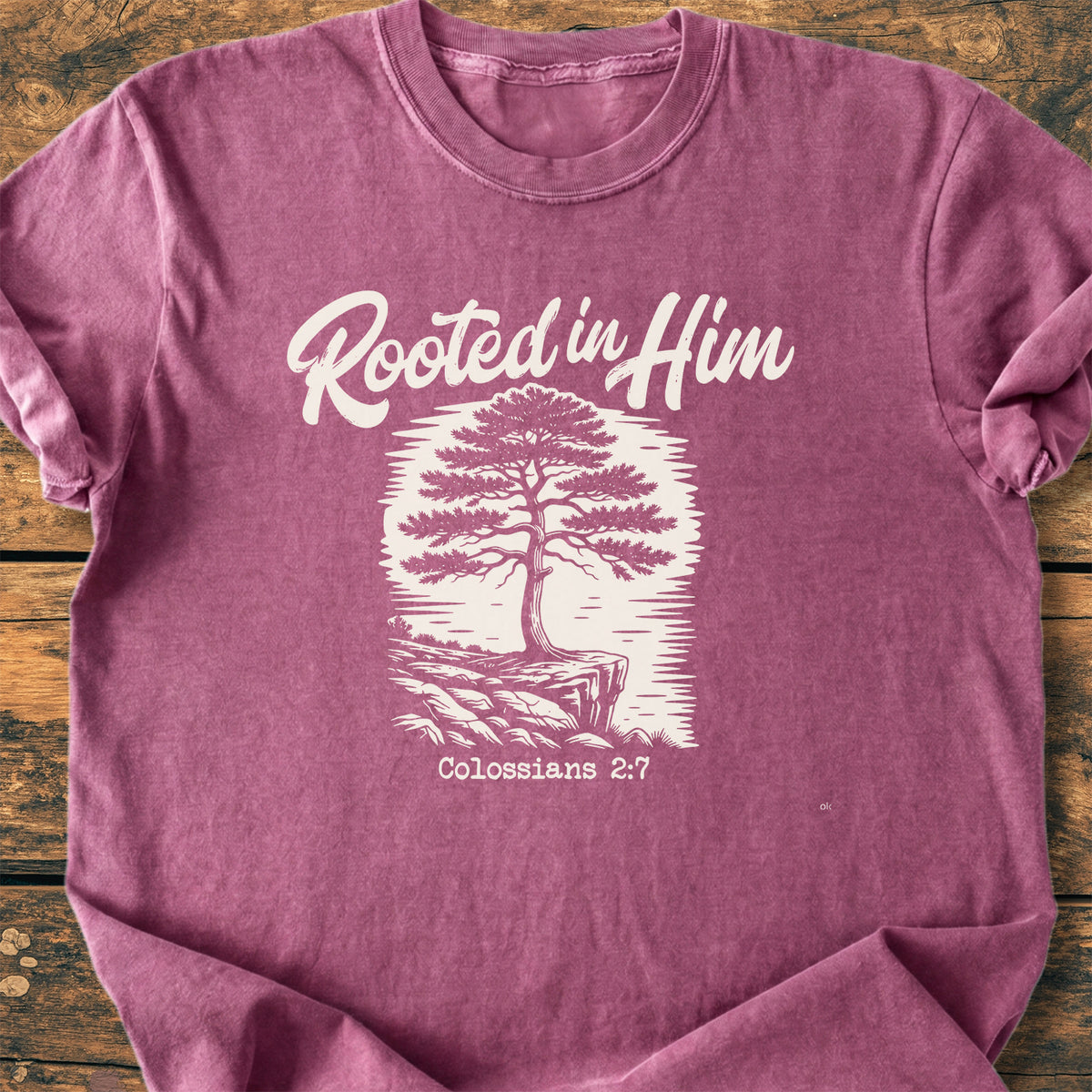 Rooted In Him - Premium Vintage Tee