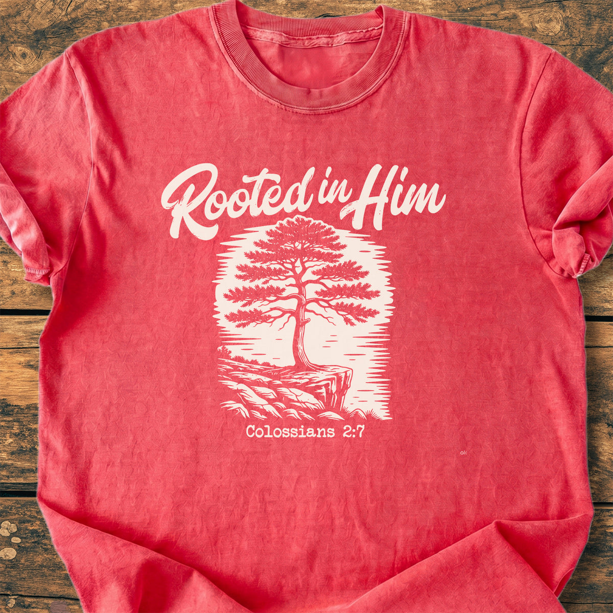 Rooted In Him - Premium Vintage Tee