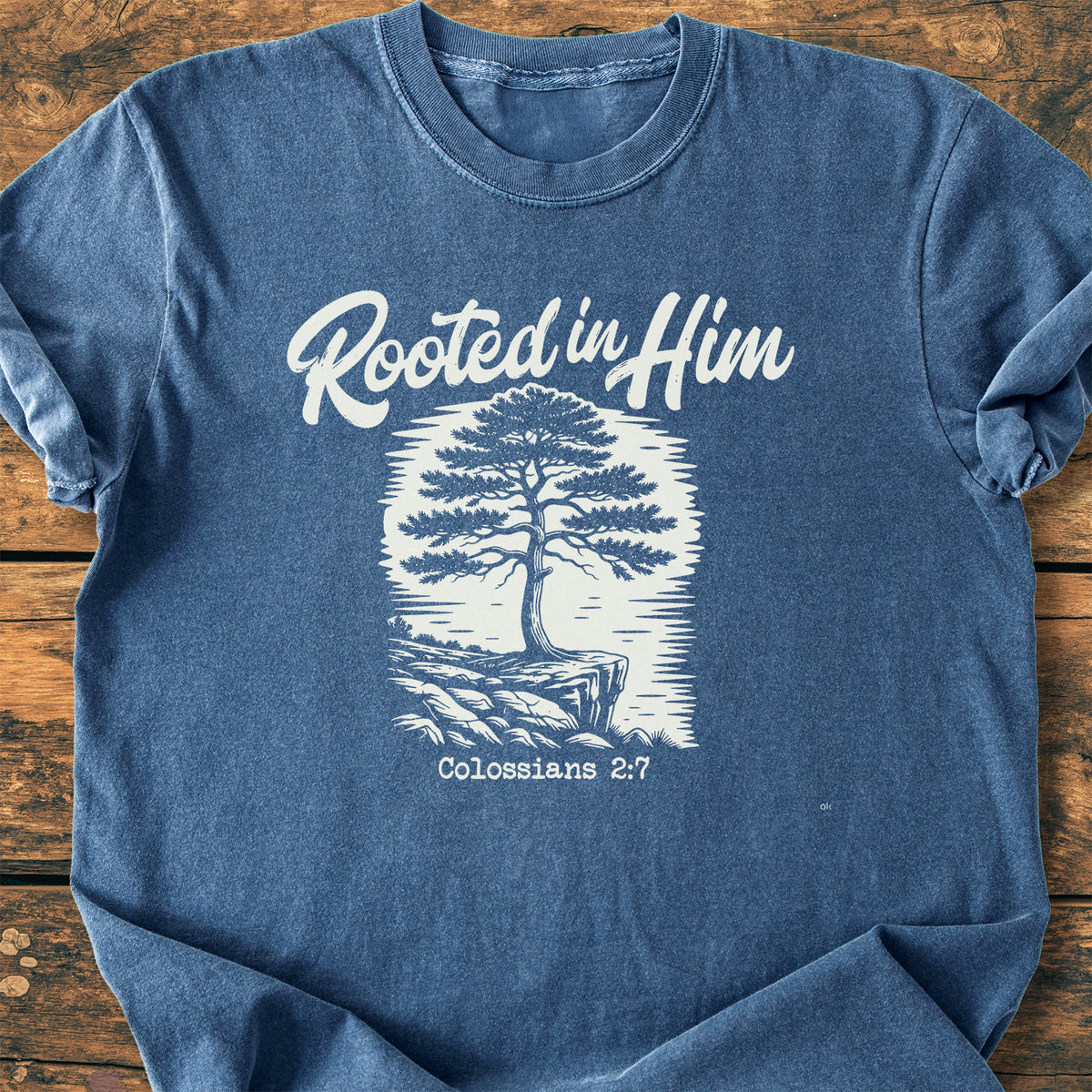 Rooted In Him - Premium Vintage Tee