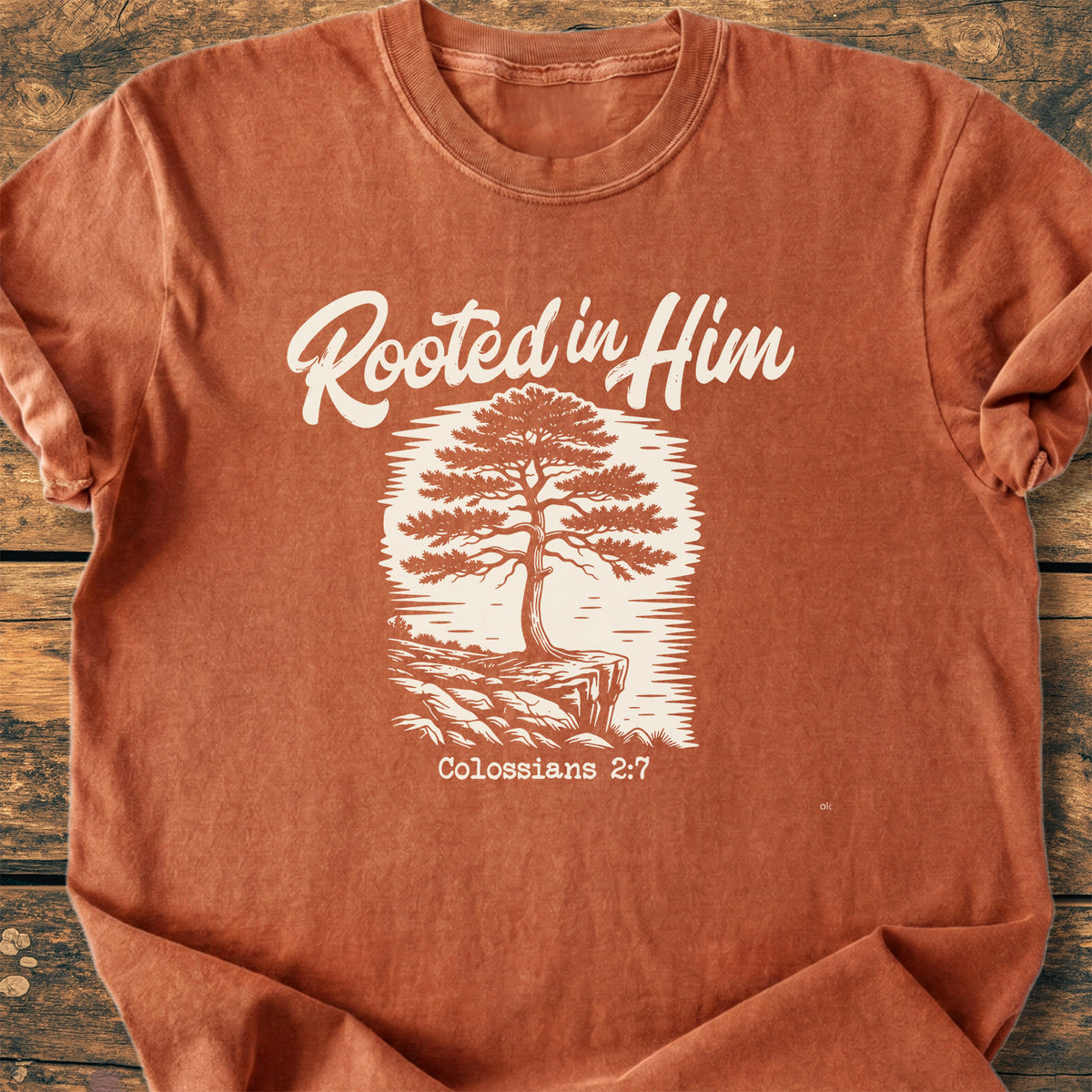 Rooted In Him - Premium Vintage Tee