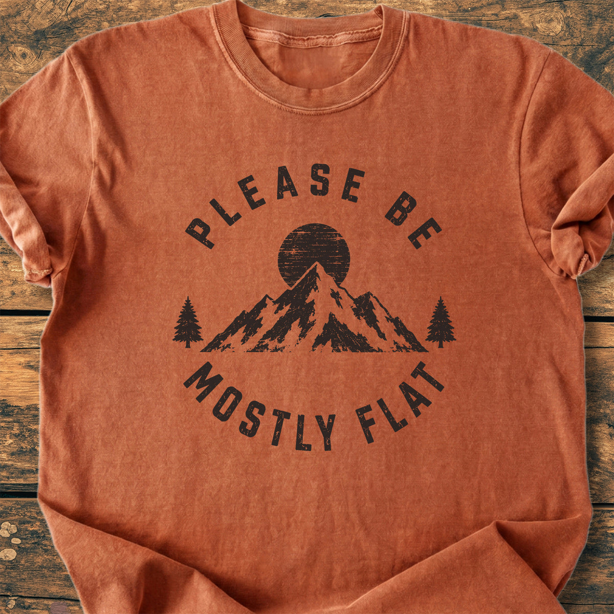 Mostly Flat - Premium Vintage Tee
