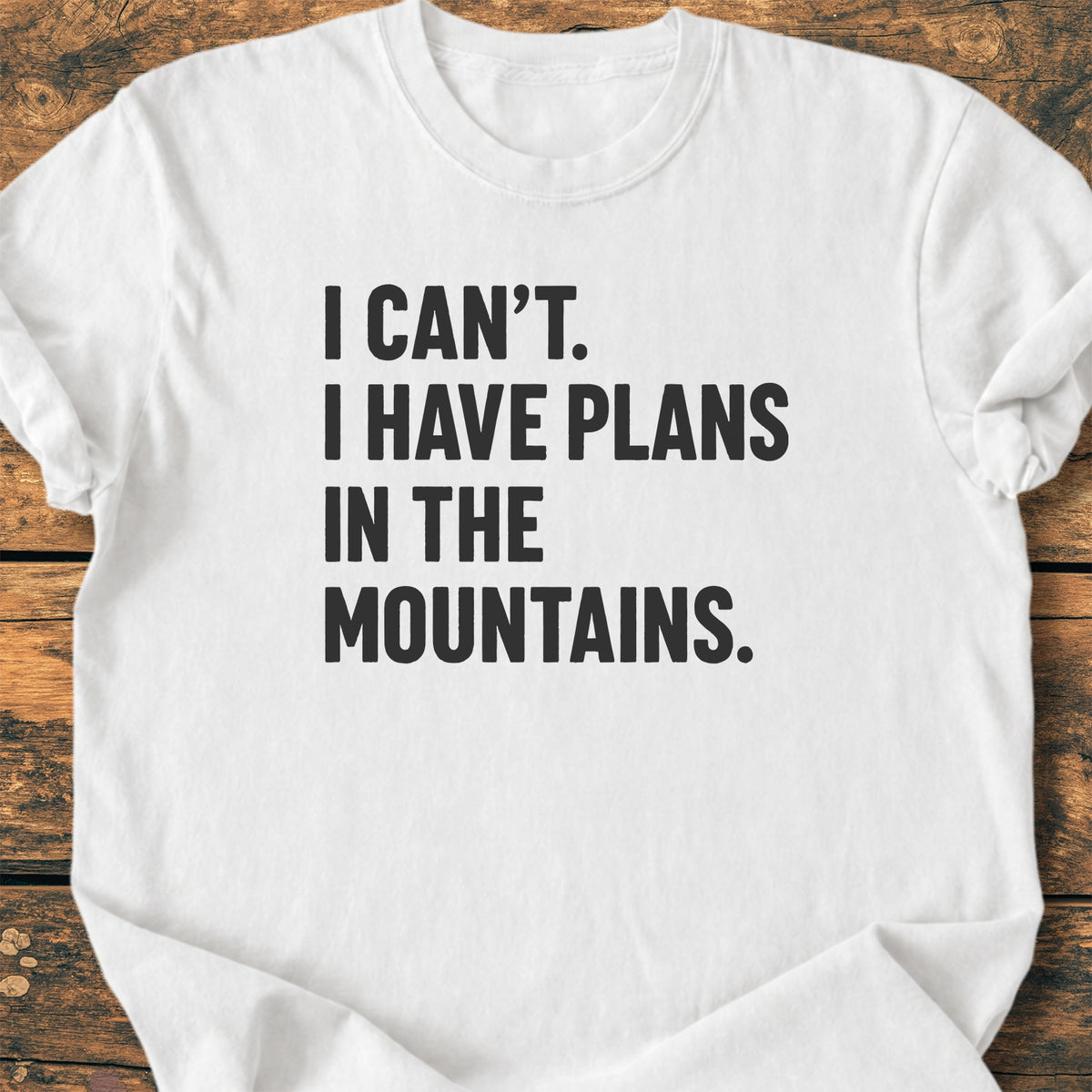 Plans In The Mountains - Premium Vintage Tee