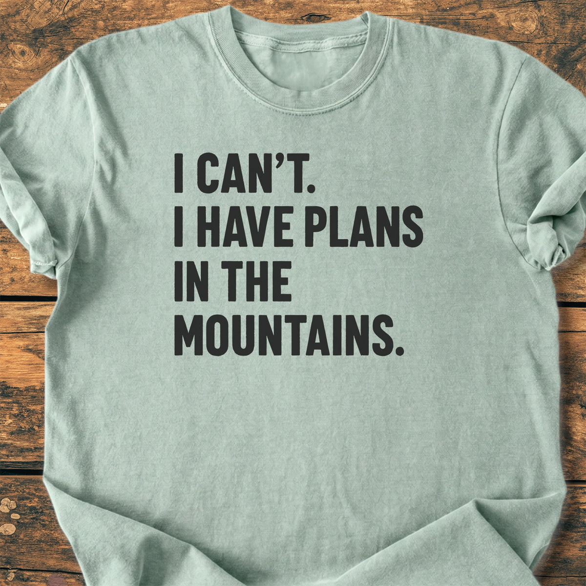 Plans In The Mountains - Premium Vintage Tee