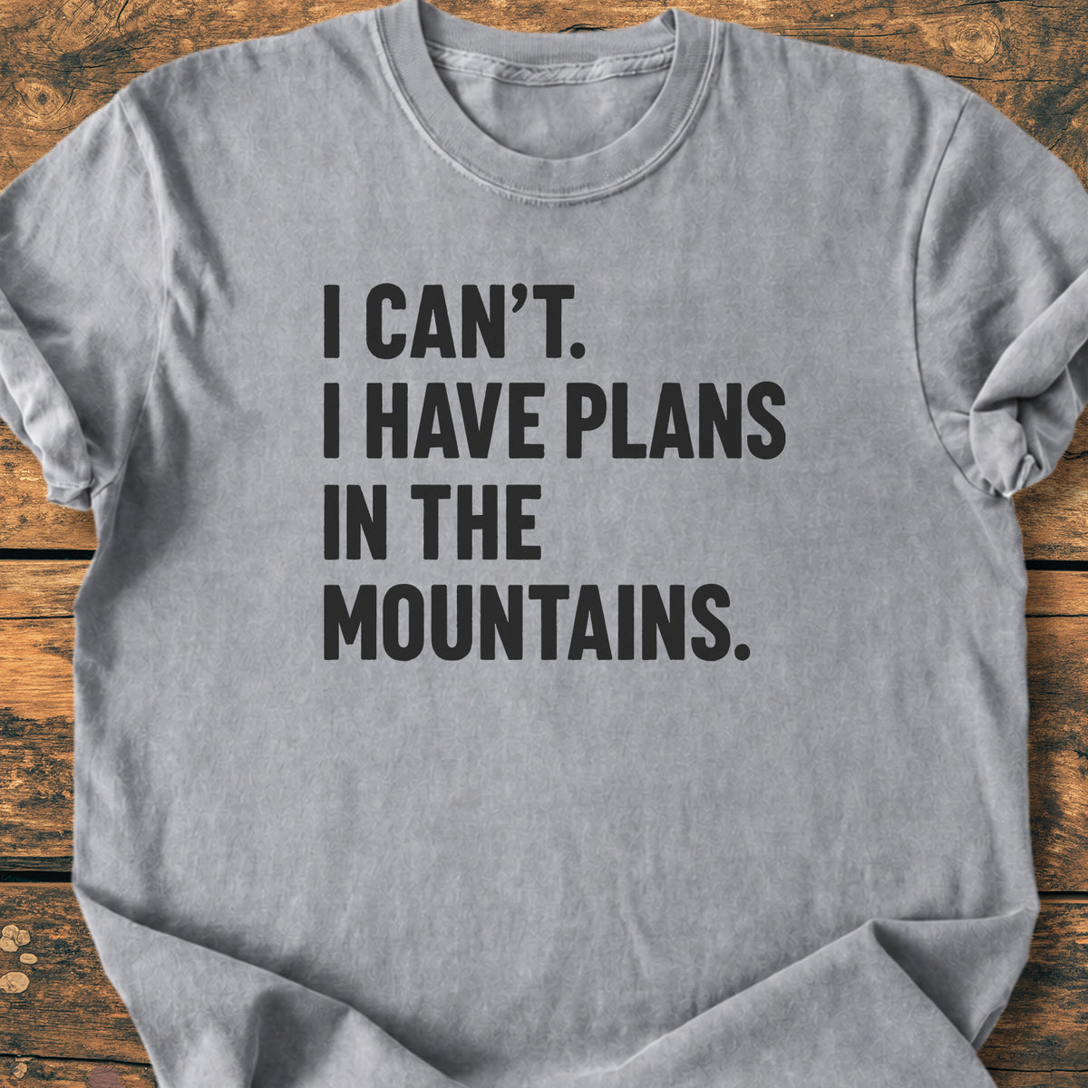 Plans In The Mountains - Premium Vintage Tee