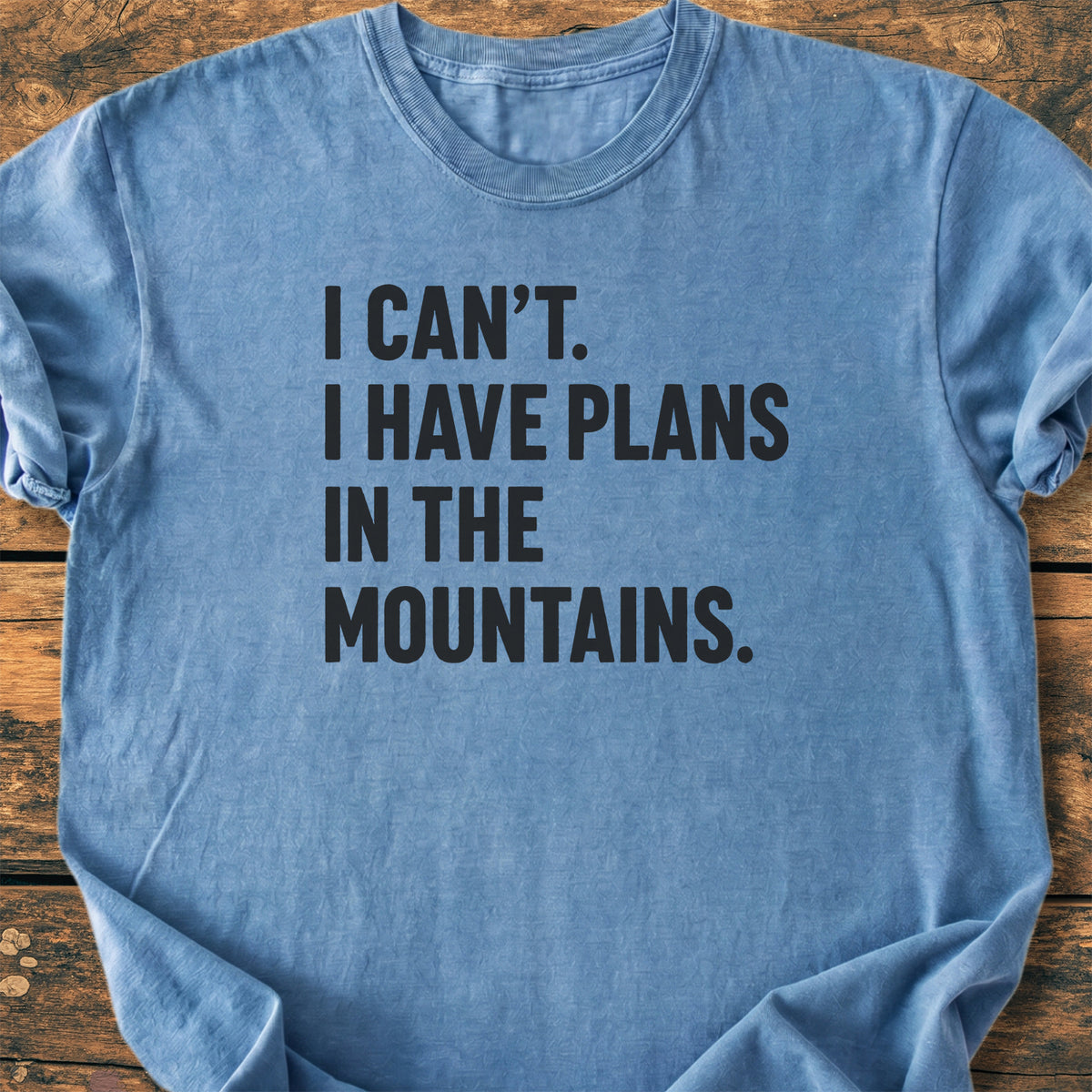 Plans In The Mountains - Premium Vintage Tee