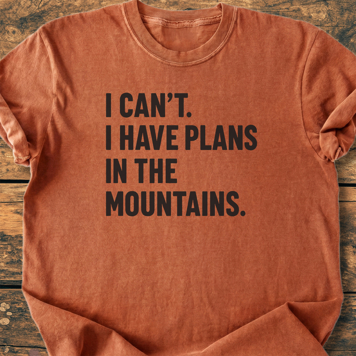 Plans In The Mountains - Premium Vintage Tee